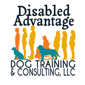 Team Page: Disabled Advantage